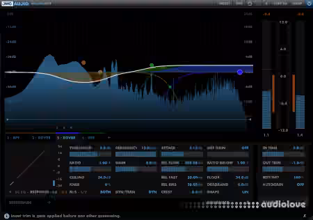 DMG Audio Multiplicity v1.01 [WiN, MacOSX]