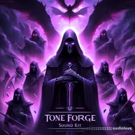 DNX Tone Forge Tool Kit Complete Edition [WAV, MiDi]