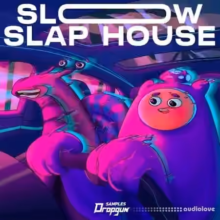 Dropgun Samples Slow Slap House [WAV, Synth Presets]
