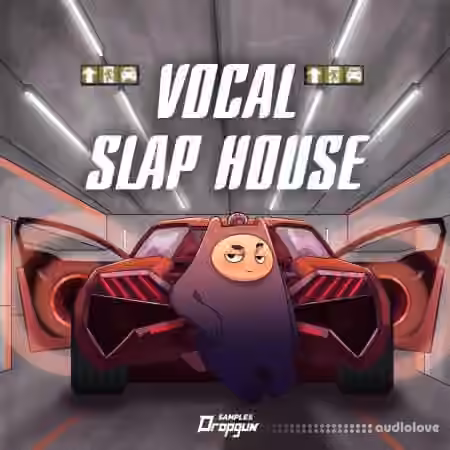 Dropgun Samples Vocal Slap House [WAV]