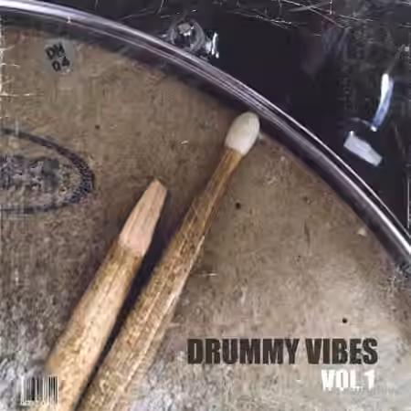 Dusty Notes Drummy Vibes Vol.1 [WAV]