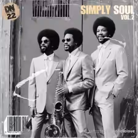 Dusty Notes Simply Soul Vol.2 [WAV]