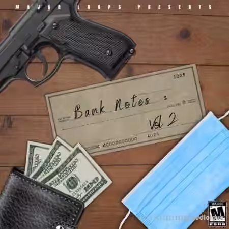 Dynasty Loops Bank Notes 2 [WAV]