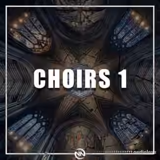 Dynasty Loops Choirs 1 [WAV]