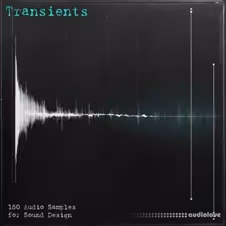 Eric Bowman Transients Sample Pack [WAV, Synth Presets]