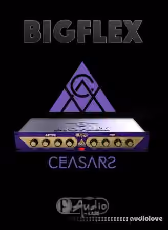F-AudioLabs BigFlex v1.2.1 [WiN]