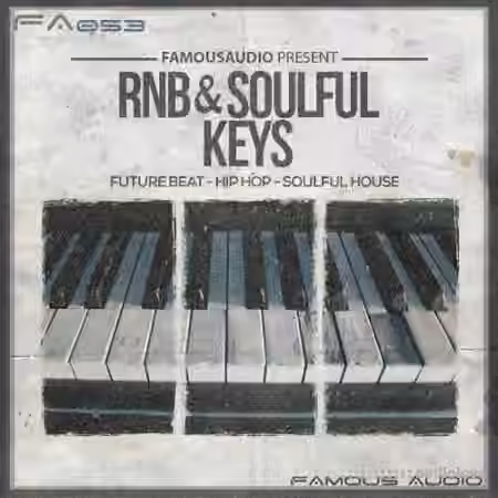 Famous Audio RnB and Soulful Keys [WAV, MiDi]