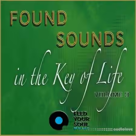 Feed Your Soul Music Found Sounds Vol.3  Sounds in The Key of Life