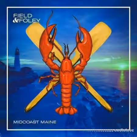 Field and Foley Midcoast Maine [WAV]