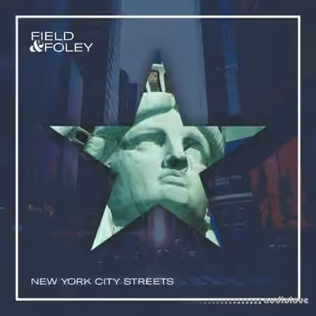 Field and Foley New York City Streets [WAV, Synth Presets]