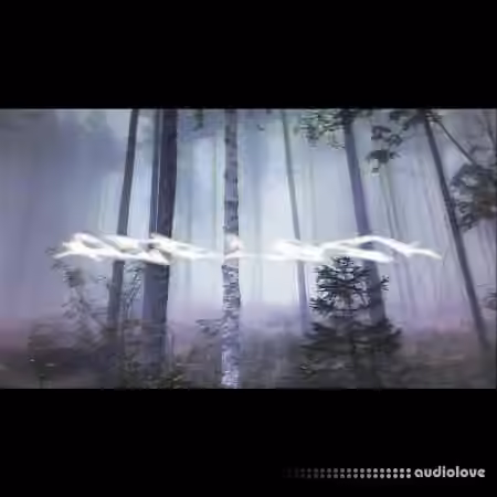 Filipmakesbeats Airlock Polykit [WAV]