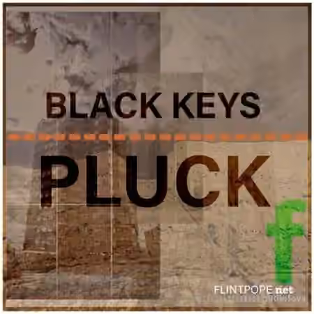 Flintpope BLACK KEYS PLUCK [WAV]