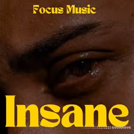 Focus Music Insane [WAV]