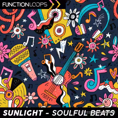 Function Loops Sunlight Soulful Beats [WAV]