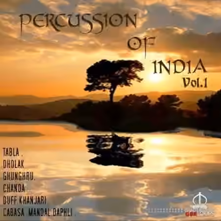 GBR Percussion Percussion Of India Vol.1 [WAV, REX, KONTAKT]