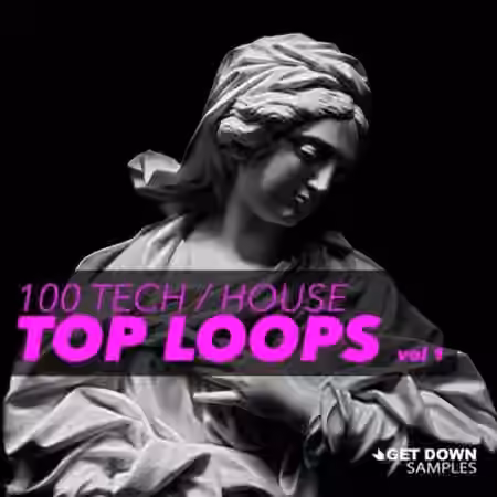 Get Down Samples 100 Tech House Top Loops Vol.1 [WAV]