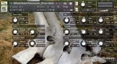 Glitchedtones x Hidden Sound Whale Bone Percussion [KONTAKT]