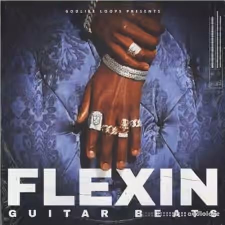 Godlike Loops Flexin Guitar Beats [WAV, MiDi]
