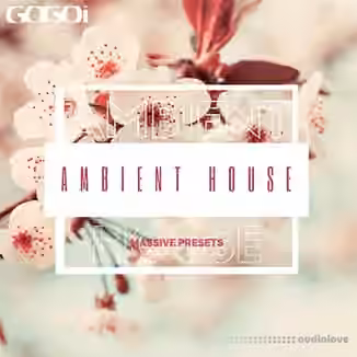 GOGOI Ambient House [Synth Presets]