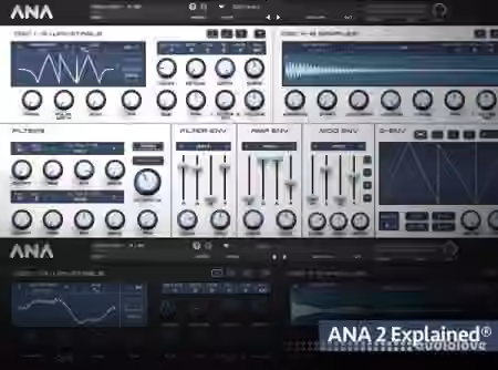 Groove3 ANA 2 Explained [TUTORiAL]