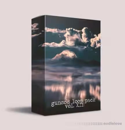 Gunso's Loop Pack Vol. XII [WAV]