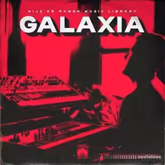 Hijo De Ramon Music Library Vol.13 GALAXIA [WAV]