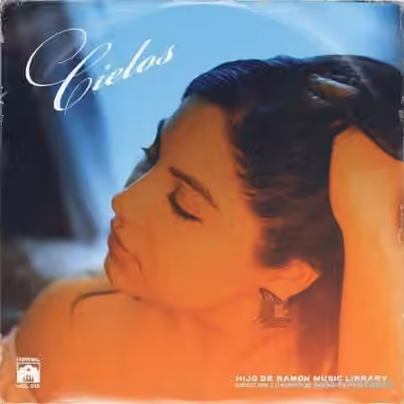 Hijo De Ramon Music Library Volume 12 CEILOS (Compositions And Stems) [WAV]