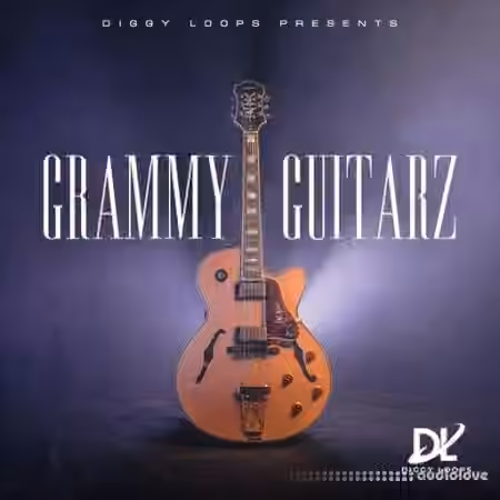 HOOKSHOW GRAMMY GUITARZ [WAV]
