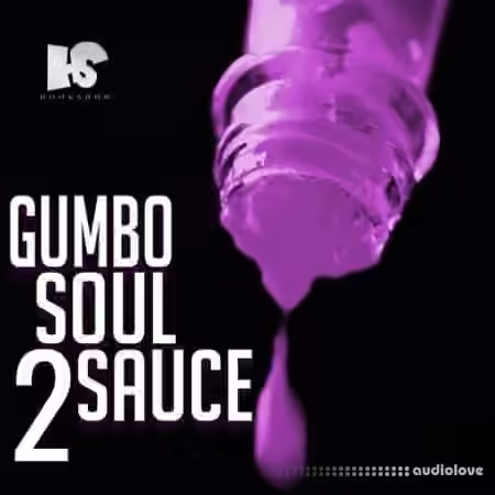 HOOKSHOW Gumbo Soul Sauce 2 [WAV]