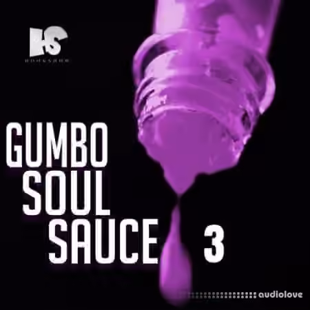 HOOKSHOW Gumbo Soul Sauce 3 [WAV]
