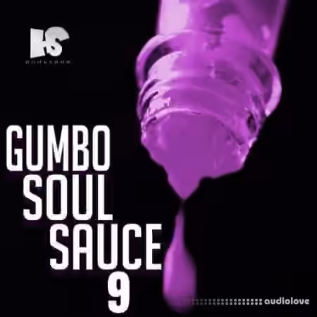 HOOKSHOW Gumbo Soul Sauce 9 [WAV]