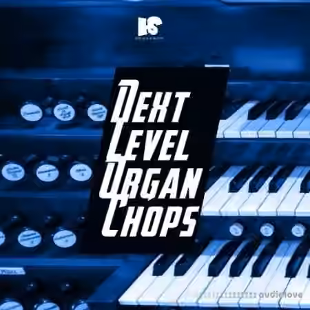 HOOKSHOW Next Level Organ [WAV]