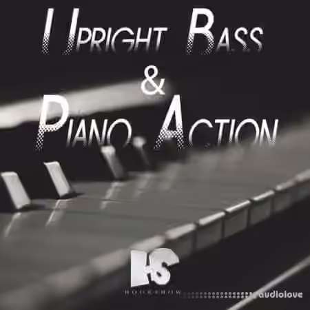 HOOKSHOW Upright Bass and Piano Action [WAV]