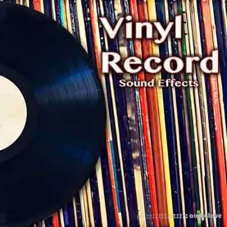 Hot Ideas Vinyl Record Sound Effects (The Hollywood Edge Sound Effects Library) [WAV]