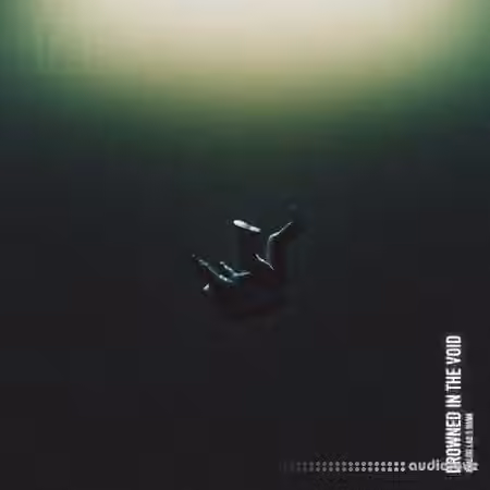 HZE Drownew In The Void (Analog Lab V Preset Bank) [Synth Presets]