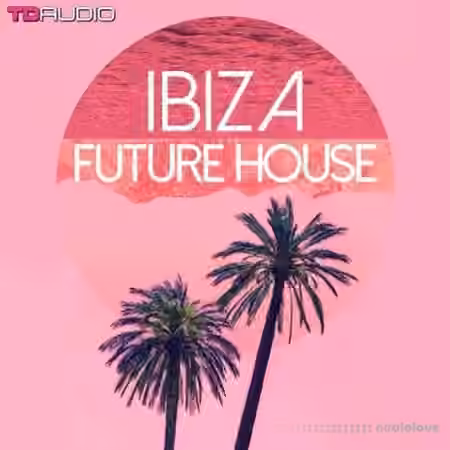 Industrial Strength TD Audio Ibiza Future House [WAV]