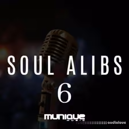 Innovative Samples SOUL ALIB 6 [WAV]