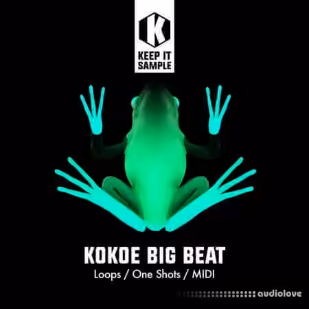 Keep It Sample Kokoe Big Beat [WAV, MiDi]