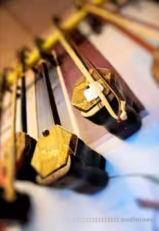 Kong Audio Chinee Series ChineeErHu I and ChineeErHu II [KONTAKT]