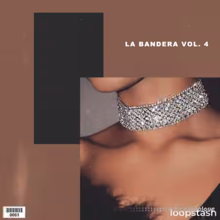 KXVI La Bandera Loop Kit Vol.4 [WAV]
