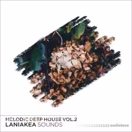 Laniakea Sounds Melodic Deep House Vol.2 [WAV, MiDi, Synth Presets]