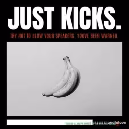 Lazerdisk Just Kicks [WAV]