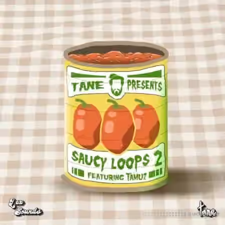 LEX Sounds Saucy Loops 2 [WAV]