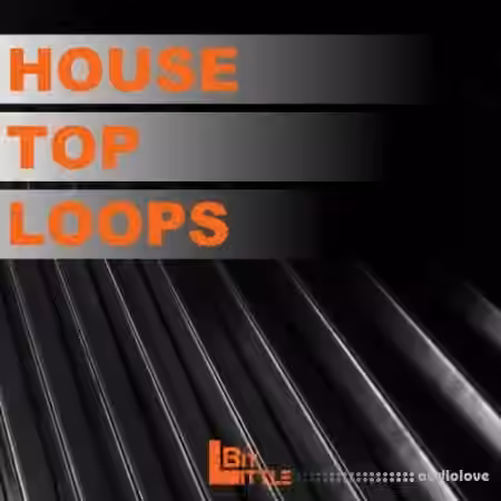 Little Bit House Top Loops [WAV]