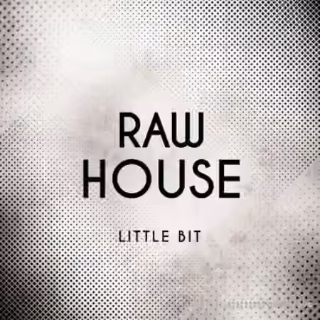 Little Bit Raw House [WAV]
