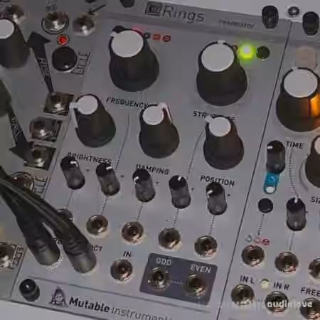 Looma Mutable Instruments Rings Oneshot Sample Pack [WAV]