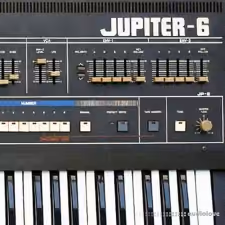 Looma Roland Jupiter6 Oneshot Sample Pack [WAV]
