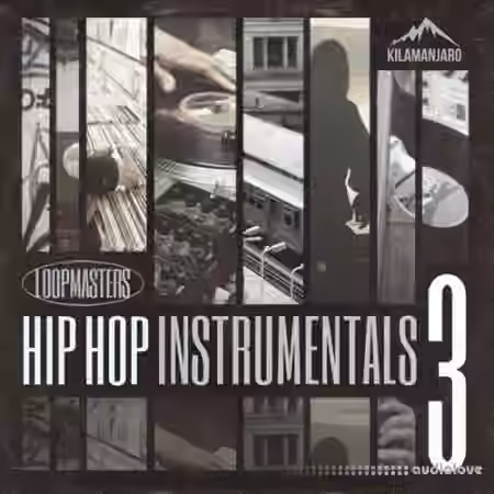 Loopmasters Hip Hop Instrumentals Vol.3 [MULTiFORMAT]