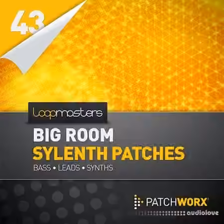 Loopmasters Patchworx 43 Big Room House Sylenth Presets [MiDi]