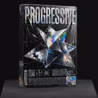 Loopsy Festival Progressive House Vol.2 [Synth Presets, MiDi]